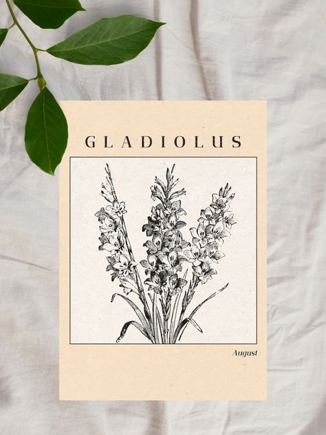 Discover the delicate beauty of the August gladiolus with this exquisite downloadable art print. Celebrate your birth month or gift someone special with this enchanting floral artwork, inspired by the unique symbolism of the gladiolus. August Gladiolus, August Art, August Flowers, Gladiolus Flower, 19 August, Month Of August, August Month, Calendar Ideas, Birth Month Flower