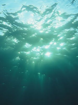 Ocean Waters Underwater Sunlight, Hawke Dragon Age, Ocean Hues, Water Aesthetic, Water Pictures, Aqua Art, Turquoise Ocean, Catty Noir, Awesome Pictures