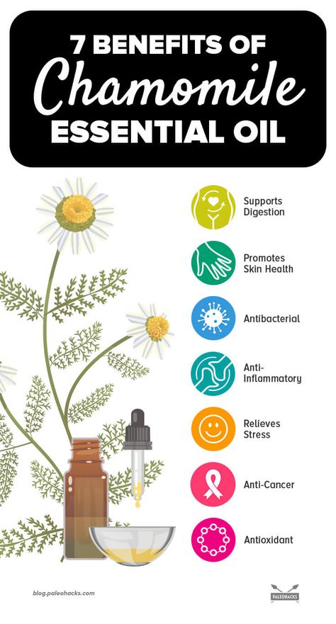 7 Health Benefits of Chamomile Essential Oil & How to Use It Chamomile Essential Oil Benefits, Benefits Of Chamomile, Basil Health Benefits, Home Remedy For Headache, Oil For Skin, Ginger Benefits, Chamomile Oil, Chamomile Essential Oil, Natural Antibiotics