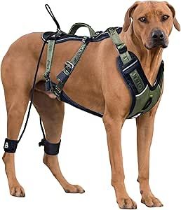 ANAFNI Easy Walk No Pull Dog Harness for Large Dogs, Heavy Duty Tactical Dog Harness with Handle, Easy Control and Training Better Leash Manners (Moss Green, Medium) Tactical Dog Harness, No Pull Dog Harness, Dog Skin, Dog Adventure, Quick Release Buckle, Canine Companions, Service Dogs, New Puppy, Dog Harness