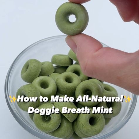 Breath Mints For Dogs, Dog Breath Mints, Dog Breath Treats, Healthy Thanksgiving Dinner, Dogs Treats, Gummies Recipe, Breath Mints, Dog Breath, Peanut Butter Dog Treats