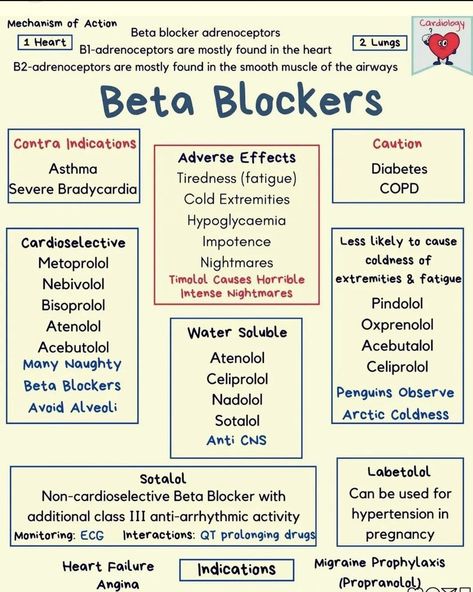 Beta Blockers Pharmacology, Analgesics Pharmacology, Antibiotic Cheat Sheet For Np, Pharmacology Analgesics, Beta Lactam Antibiotics Mnemonics, Pharmacology Nursing Study, Nursing School Studying Cheat Sheets, Medical Terminology Study, Beta Blockers