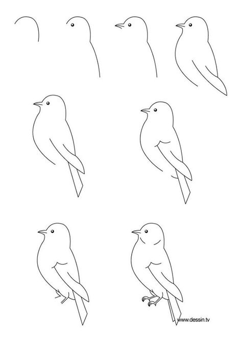 Simple Bird Drawing, Easy Pencil Drawings, Easy Pictures To Draw, Cool Easy Drawings, Easy Drawing Steps, Easy Drawings For Beginners, Drawing Hands, Bird Sketch, Drawing Tutorials For Beginners