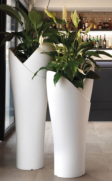 ASSIA, High polyethylene plant pot by Lyxo Design Fall Container Plants, Home Oasis, Aesthetic Plant, Plants Aesthetic, Plant Pot Design, Fall Containers, Flower Pot Design, Plant Decor Indoor, House Plants Decor