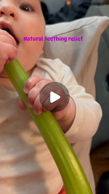 Dr. Karissa Maggio on Instagram: "When used safely celery can add in teething relief. Especially if cold from the fridge or freezer and properly cleaned. #teethingbaby #longislandchiropractor #baby #babydoc" Infant Teething Relief, Celery For Teething, Teething Relief For Babies, Natural Teething Remedies Baby, Teething Baby Remedies, Teething Hacks, Pregnancy Preparation, Baby Remedies, Toddler Milestones