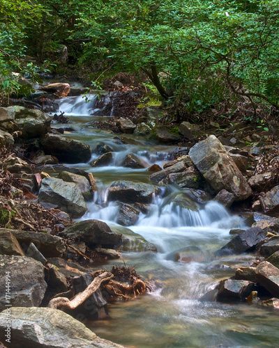 Talladega National Forest, Summer Places, National Forest, Adobe Stock, Alabama, Places To Go, Forest, House Design, Stock Photos