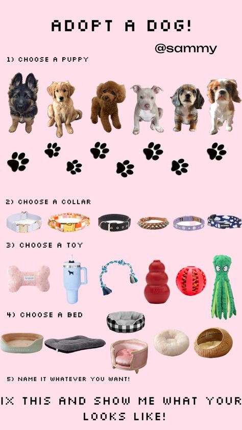 Fun Sleepover Activities, Dog Supplies List, Making A Gift Basket, Cute Dog Toys, Cute Christmas Ideas, Hello Kitty Phone Case, Puppy Mom, Emotional Support Dog, Puppy Accessories