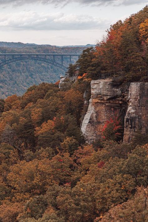 new river gorge national park New River Gorge National Park, Virginia Fall, New River Gorge, Fall Break, New River, Great Smoky Mountains, Road Trip Usa, National Monuments, Lake Como