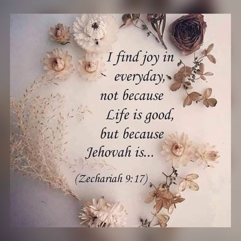 Finding Joy Quotes, Jw Sayings, Jw Videos, Jw Encouragement, Lies Quotes, Jehovah Quotes, Jehovah Witness Quotes, Jehovah Witness, Personal Bible Study