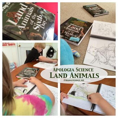 Apologia Land Animals of the Sixth Day Review Homeschool Family, Flying Creatures, Land Animals, Waldorf Homeschool, Homeschool Education, Slow And Steady, Unit Studies, Animal Science, Science Curriculum