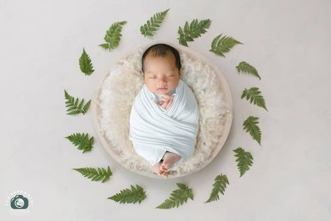 Babies Pics, Boy Photoshoot, Photoshoot Newborn, Baby Birthday Photoshoot, Baby Boy Newborn Pictures, Maternity Photography Couples, Baby Photoshoot Boy, Newborn Baby Photoshoot, Boy Newborn