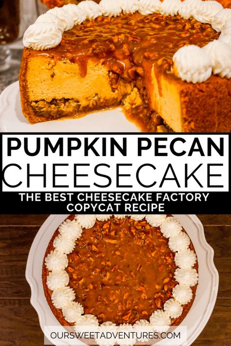 Learn how to make the BEST FALL DESSERT - a Pumpkin Pecan Cheesecake. This decadent dessert combines 3 favorites - pecan pie, pumpkin pie, and cheesecake. You have graham cracker crust, pecan pie filling, pumpkin cheesecake, pecan caramel, and whipped cream...yumm!!! This Cheesecake copycat recipe has step by step directions so you can bake the perfect dessert this holiday season. Cheesecake Factory Pumpkin Pecan, Pumpkin Pecan Cheesecake Factory, Pecan Pie Pumpkin Cheesecake Recipe, Cheesecake Factory Copycat Pumpkin Pecan Cheesecake, Pumpkin Cheesecake Decoration, Pecan Pie Pumpkin Cheesecake, Pumpkin Pecan Pie Cheesecake, Pumpkin Crumble Cheesecake, Pecan Pumpkin Cheesecake