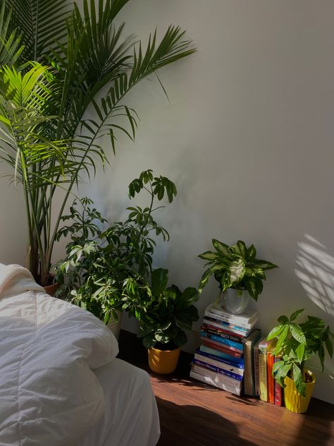 House Plant Bedroom Decor, Plant Styling Bedroom, Clean Aethstetic Room, Reading Plant Room, Plants In Room Aesthetic, Benjiplant Apartment, Room Wall Inspo Aesthetic, Planty Bedrooms, Bedroom Full Of Plants