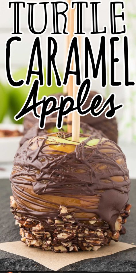 Caramel Dipped Apples, Homemade Caramel Apples, Carmel Chocolate, Turtle Candy, Cake Recipes Chocolate, Dipped Apples, Marshmallow Popcorn, Candy Apple Recipe, Caramel Apples Homemade