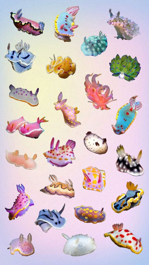 #shuffles #collage #seaslugs #cute #aquarium #wallpaper Cute Aquarium, Aquarium Wallpaper, Cool Sea Creatures, Cute Moth, Sea Slugs, Sea Slug, Underwater Creatures, Marine Animals, Ocean Animals