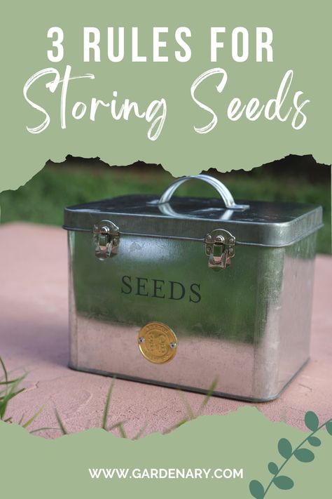 End up with lots of leftover seeds at the end of the growing season? Follow these 3 rules for proper seed storing so that they're still viable next year. How To Store Seeds For Next Year, Storing Seeds For Next Year, Saving Seeds For Next Year, Saving Pepper Seeds For Next Year, Soaking Seeds Before Planting, Bold Brows Makeup, Easy Vegetables To Grow, Bean Seeds, Organic Vegetable Garden