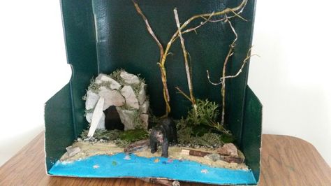 Black bear diorama Grizzly Bear Diorama, Bear Habitat Project, Cave Diorama, Bear Diorama, Bear Hibernation, Shoebox Diorama, Alaskan Brown Bear, Bear Habitat, Habitats Projects