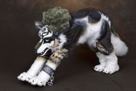 Wolf Fursuit, Legend Of Zelda Twilight Princess, Link Cosplay, Zelda Twilight Princess, Wings Of Fire, Twilight Princess, Cool Costumes, Legend Of Zelda, Game Character