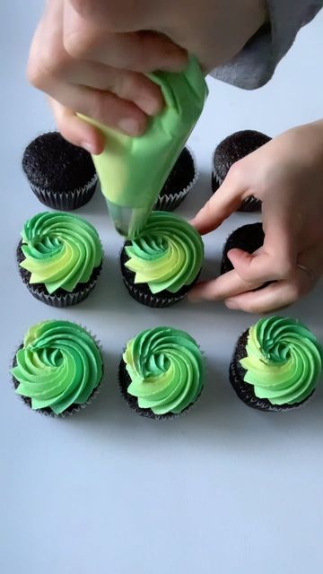 SOPHIE COATES | SUGAR COATES BAKERY on Instagram: "In honor is St Patrick’s Day tomorrow… sharing some chocolate cupcakes frosted in several pretty shades of green💚💚💚 • • • • • • • #stpatricksday #saintpatricksday #stpaddys #stpaddysday #green #cupcakes #cupcakevideo #💚 #cupcakesofinstagram #cupcake #cupcakedecorating #beautiful #cakeoftheday #cupcakeart #cupcakesofinstagram #pretty" St Patrick’s Day Cupcakes Rainbow, Green Cupcakes Decoration, Irish Birthday Cake, Spirit Cake, St Patricks Day Cakes, Tie Dye Cupcakes, Birthday Cupcakes Boy, Cupcake Videos, Swirl Cupcakes