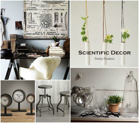 We've recently found ourselves completely smitten with science-inspired designs in the home - beakers, periodic tables, anatomy charts, microscopes - you name it, we love it. The great thing with scientific decor is that you can go for a vintage approach with the rustic metals, brighten it up with nature, and teach an educational lesson at the same time. I will also take any chance I can get to buy more glass jars, specimen jars are totally not the same thing as mason jars. If my hypothesis is c Apothecary Bedroom Ideas, Biology Room Decor, Scientific Decor, Science Bedroom Decor, Science Room Decor, Apothecary Room, Science Bedroom, Loft Inspiration, Nerd Chic