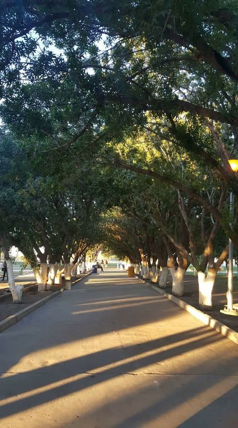 Parque central cd Juárez Sandra Aragón Chihuahua, Street View, Cd