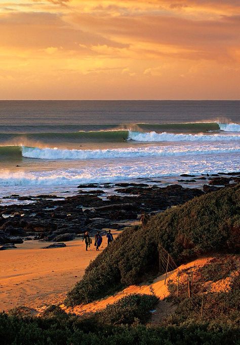 Surfing Jeffreys Bay South Africa, Jeffreys Bay, Africa Do Sul, Surf Trip, Surfing Waves, Surf Art, Southern Africa, Africa Travel, Johannesburg