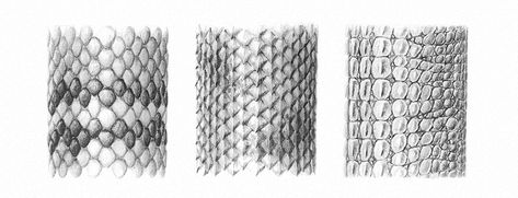 How to draw scales Texture Sketch, Pencil Texture, Snake Scales, Snake Drawing, Stippling Art, Scale Drawing, Texture Drawing, Fur Texture, How To Shade