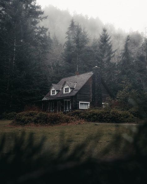 The House In The Pines, House In The Middle Of The Forest, House In Woods, Dark Naturalism, Forest Cabin, 광고 디자인, Character Profile, Forest House, Cabin Life