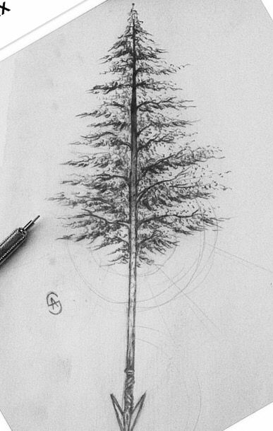 Evergreen tattoo Pine Tree Arrow Tattoo, Outdoor Mens Tattoos, Arrow Tree Tattoo, Evergreen State Tattoo, Norway Spruce Tattoo, Norway Pine Tattoo, Pine Tree Tattoos For Women, Spruce Tattoo, Ken Tattoo