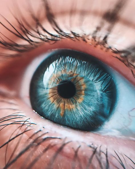 6,878 Likes, 94 Comments - Natalia Seth (@escapingyouth) on Instagram: “Every focused thought, just an illusion” Photo Oeil, Foto Macro, Realistic Eye Drawing, Beautiful Eyes Color, Eye Close Up, Realistic Eye, Close Up Photography, Eye Photography, Aesthetic Eyes