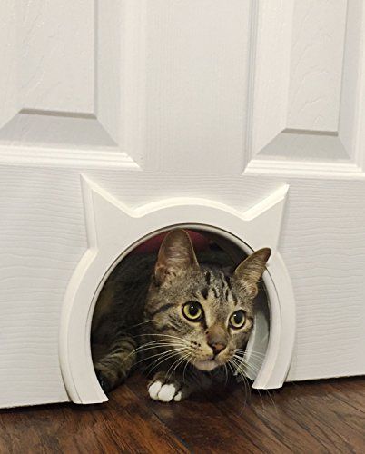 love this cat door Interior Cat Door, Hidden Litter Boxes, Chat Diy, Gatos Cool, Pet Door, Great Cat, Cat Door, Russian Blue, Cat Room