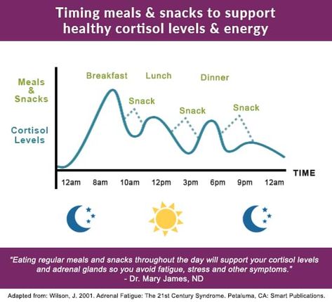 Adrenal Fatigue Diet Guidelines – Women’s Health Network Adrenal Fatigue Diet Plan, Adrenal Fatigue Diet, Energy Breakfast, Adrenal Fatigue Symptoms, Best Time To Eat, Adrenal Health, Diets For Women, Cortisol Levels, Adrenal Fatigue