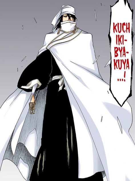 Vlone Logo, Bleach Pictures, Kuchiki Byakuya, Urahara Kisuke, Bleach Funny, Ulquiorra Cifer, Tite Kubo, Byakuya Kuchiki, Arte Ninja