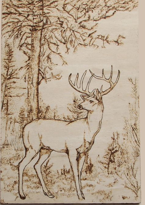 Deer Wood Burning, Nature Drawing Ideas, Barn Wood Art, White Tailed Deer, Woodburning Ideas, Wood Burning Stencils, Wood Burning Techniques, Deer Drawing, Wood Burn Designs