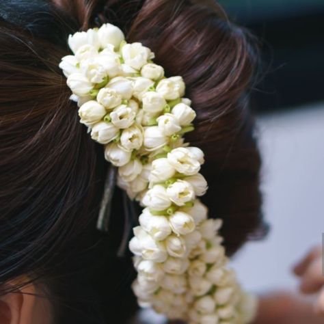 The ubiquitous jasmine flower, or 'Malli poo,' as it's affectionately known in South India, carries with it a fragrant whisper of tradition and tranquility. Its petals, as white as moonlight, grace temples, weddings, and festivals, symbolizing purity, love, and divine benediction. Throughout the ages, women have woven these scented strands into their hair, a gesture as sacred as the prayers offered to the gods and as joyful as the melodies echoing through marriage halls. Originating from th... White Jasmine, Jasmine Flower, Indian Culture, South India, Hair A, Weddings, India, Embroidery, Flowers