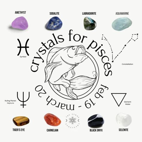 Crystals For Pisces, Pisces Crystals, Chakra Centers, Crystal Knowledge, Neptune Planet, Zodiac Crystals, 7 Chakra Stones, How To Overcome Shyness, Pet Rock