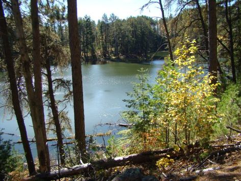 1. Ely Park Rapids Minnesota, Ely Minnesota, Minnesota Summer, Itasca State Park, Minnesota Winter, Two Harbors, Ski Trails, Beautiful Town, Bear Head