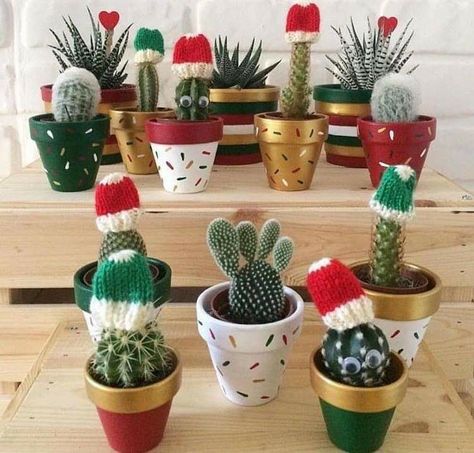 Christmas Plants Gifts, Small Cactus Plants, Texas Christmas, Painted Pots Diy, Flower Pot Design, Christmas Pots, Small Cactus, Christmas Plants, Green Gift