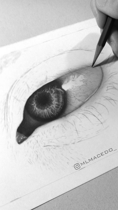 Eye Charcoal Drawing, Hyper Realistic Eye Drawing, Eye Sketch Realistic, How To Sketch Eyes, Realistic Eye Sketch, Eye Pencil Drawing, Sketch Eyes, Beautiful Pencil Drawings, Realistic Eye Drawing