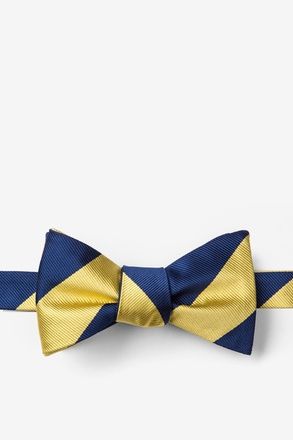 Navy And Gold Stripe Butterfly Bow Tie Black And Gold Butterfly, 1920's Wedding, Distinguished Gentleman, Bow Ties For Men, Engagement Shoot Ideas, Butterfly Bow, Tie Bow Tie, Ties For Men, Tie Shop