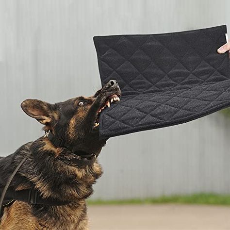 Chew Proof Dog Bed, Dog Crate Pad, Durable Dog Bed, Indestructable Dog Bed, Dog Crate Pads, Dogs Black, Dog Pee Pads, Dog Bed Mat, Dog Pads