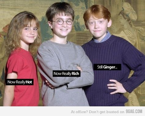 HP Ginger Jokes, Ginger Humor, Very Demotivational, Harry Potter Kids, Harry Potter Pictures, Harry Potter Facts, Harry Potter Anime, Memes Hilarious, Harry Potter Jokes