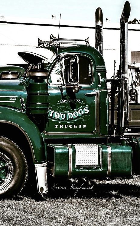 Big Mack, Old Mack Trucks, Custom Pickup Trucks, Truck Paint, Antique Trucks, Steeler Nation, Mack Trucks, Big Rig Trucks, Big Rigs