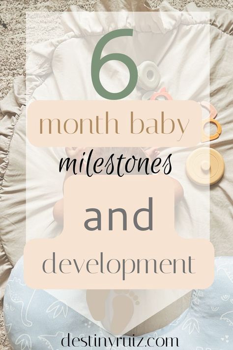 6 Month Development Milestones, 6 Month Old Milestones, 6 Months Old Activities, 6 Month Baby Milestones, Montessori Activities Baby, 6 Month Baby Activities, Baby Boy Tips, Baby Developmental Milestones, Baby Development Milestones