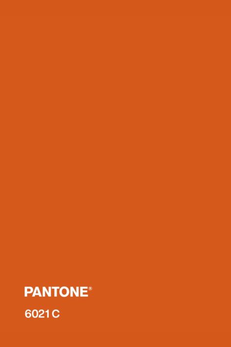 #pantone #orange #color #pantone6021c Tangerine Orange Color, Orange Pantone, Orange Color Shades, Pantone Orange, Color Knowledge, Orange Palette, Channel Orange, Theme Wallpaper, Orange Color Palettes