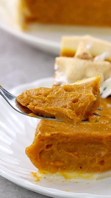 Nora Cooks on Instagram: "Best. Pumpkin. Pie. Ever! 🧡 It’s vegan (of course) and seriously so easy to make! I love making homemade pie crust as well, but if you’re in a hurry and can’t be bothered, you can absolutely use store bought pie crust. There are several vegan friendly options. 😊 Link to the full recipe is in my profile. #vegan #veganpumpkinpie #veganpie #vegandessert #veganthanksgiving #plantbasedthanksgiving #plantbasedfood" Nora Cooks, Store Bought Pie Crust, Homemade Pie Crust, Best Pumpkin Pie, Vegan Pumpkin Pie, Vegan Pie, Homemade Pie Crusts, Vegan Thanksgiving, Best Pumpkin