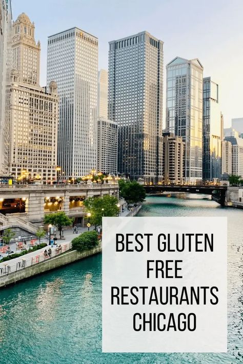 You Need To Know: The Best Gluten Free Restaurants Chicago [2023] - Kelly's Gluten Free Kitchen Gluten Free Chicago, Restaurants Chicago, Millennium Park Chicago, Gluten Free Brunch, Gluten Free Guide, Gluten Free Italian, Gluten Free Kitchen, Gluten Free Travel, Gluten Free Crust