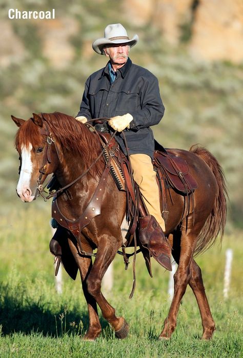 Cowboy On Horse, Cowboy Draw, Cowboy Photography, Horse Beautiful, Cowboy Pictures, Classic Cowboy, Action Pose Reference, Cowboy Horse, Cowboy Art