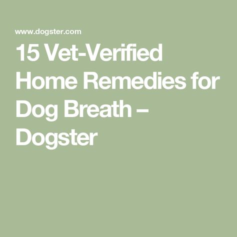 15 Vet-Verified Home Remedies for Dog Breath – Dogster Dog Bad Breath Remedy, Dog Breath Remedy, Remedies For Bad Breath, Dog Dental Hygiene, Dog Tear Stains, Bad Dog Breath, Bad Breath Remedy, Dog Breath, Dental Treats