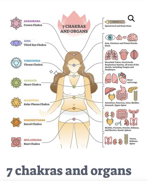 7 Chakras Meditation, Yoga Goddess, Chakra Health, Body Diagram, Beautiful Butterfly Photography, Organ System, Chakra System, Chakra Yoga, Herbal Magic